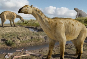 Remains of a rare 3-million-year-old creature found in eastern Argentina 